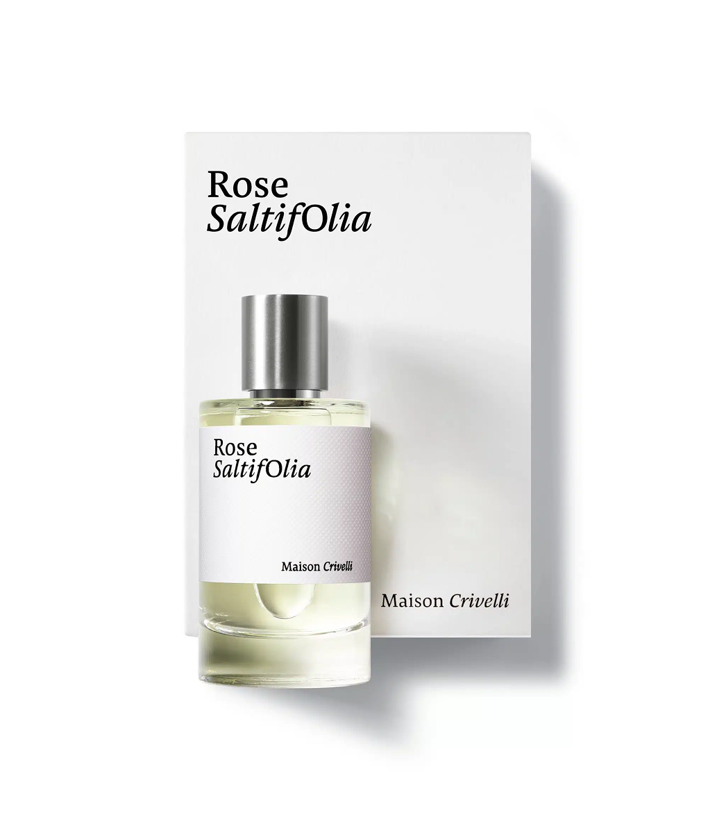 Rose Saltifolia
