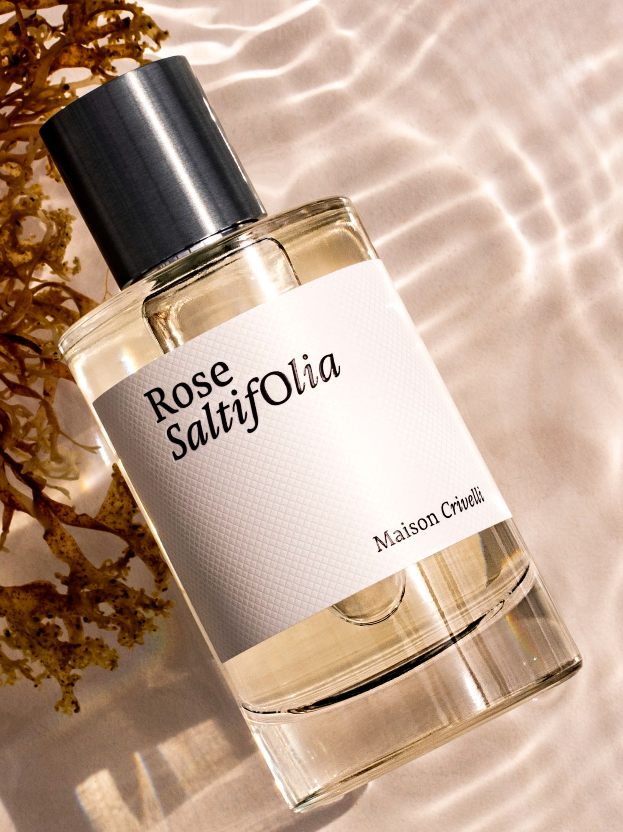 Rose Saltifolia eau de parfum | Maison Crivelli Rose Saltifolia eau de parfum | Maison Crivelli