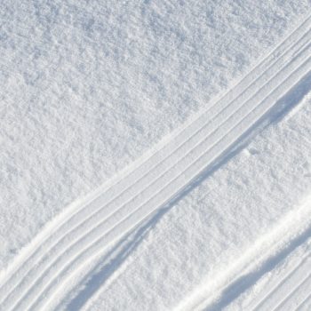 Absinthe Boréale crunching snow texture - Maison Crivelli