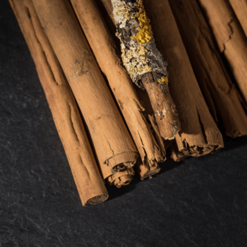 Bois Datchai 05 cinnamon bark tree birch wood 900x1200 - Maison Crivelli