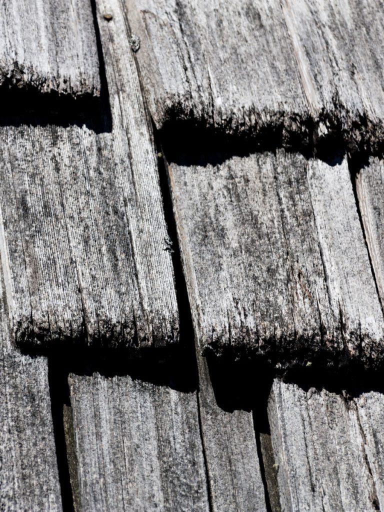 Santal Volcanique 05 burnt wood cedar sandalwood black texture - Maison Crivelli