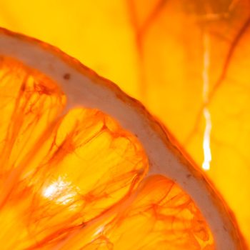 citrus batikanga 02 agrumes 1200x900 - Maison Crivelli
