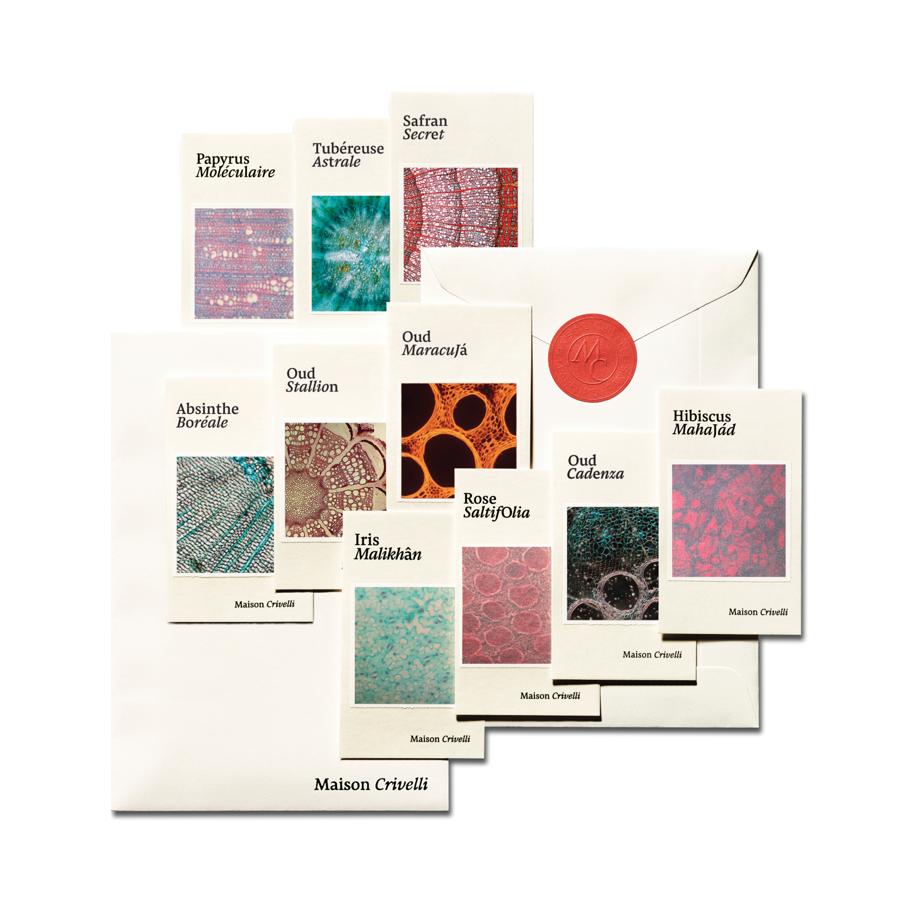 Magic Blotters